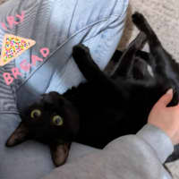 Photo of Fairy Bread