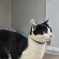 Photo of Gadget (0196)