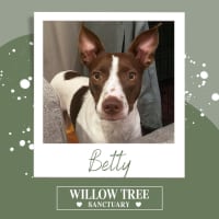 Photo of Betty 