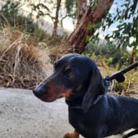 Photo of 🌞 Sonny 6191 🌞