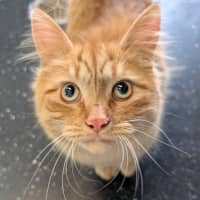 Photo of Murray