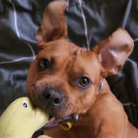 Photo of Maya