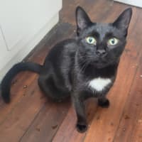 Photo of Kleo