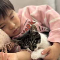 Photo of Chobani ** 2nd Chance Cat Rescue**