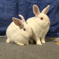 Photo of Alaska & Kenny