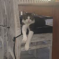 Photo of Monty