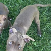 Photo of Kimiko (Now Frankie)