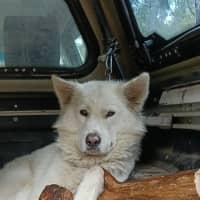 Photo of Holly