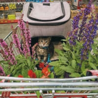 Photo of Holly Bloom