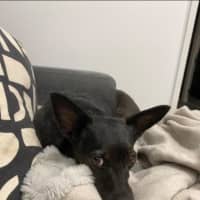 Photo of Basil Moriarty