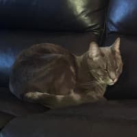 Photo of Bootsie