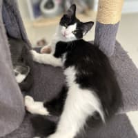 Photo of Gumdrop And Dumpling!