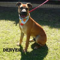 Photo of Denver