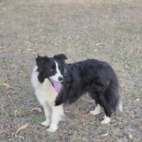 Photo of Coach And Coco