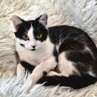 Photo of Isabella