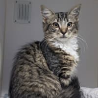 Photo of Princess Chainsaw