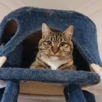 Photo of Evie