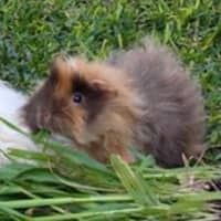 Photo of Max & Floyd 