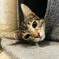 Photo of Maverick