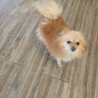 Photo of Betty
