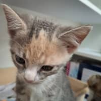 Photo of Geneva (9958)