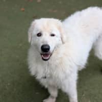 Photo of Zeus