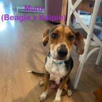 Photo of Ridge