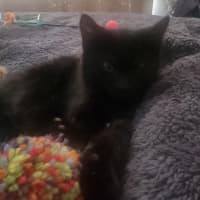 Photo of Rowan