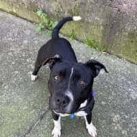 Photo of Roxy