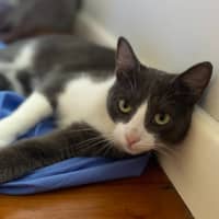 Photo of Storm (9173)