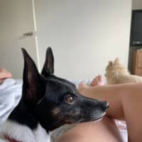 Photo of Tilly And Finn