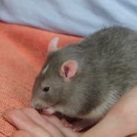 Photo of Wyatt