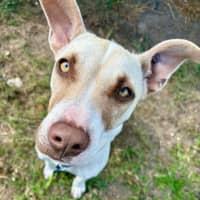 Photo of Daisey