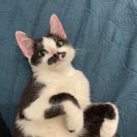 Photo of Luigi 