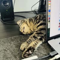 Photo of Beans   Located In Northcote