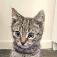 Photo of Monty