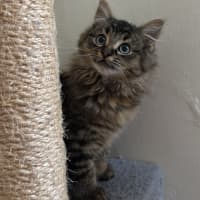 Photo of Percy