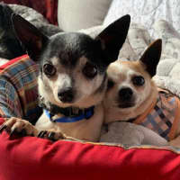 Photo of Chase And Isabella 