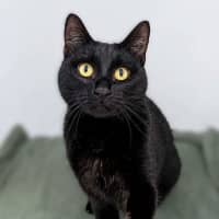 Photo of Missy