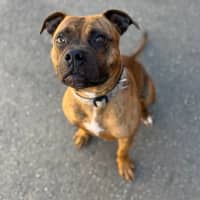 Photo of Leroy