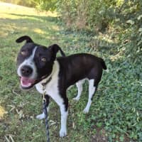 Photo of Kenny! 🤍🖤