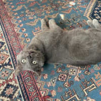 Photo of Max 