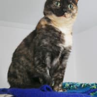 Photo of Luna Sta014215