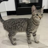 Photo of Astro