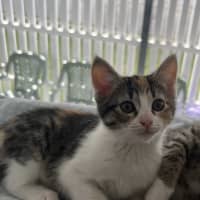 Photo of Kiki   Penelope