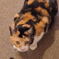 Photo of Salsa