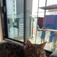 Photo of Tom
