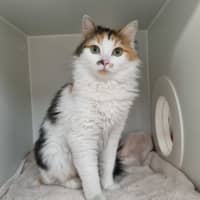 Photo of Indi