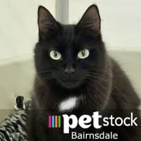 Photo of Flossie