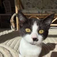Photo of Ollie